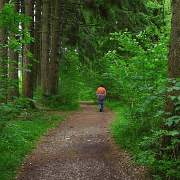 Gaudenzio Weiher