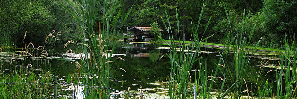 Gaudenzio Weiher