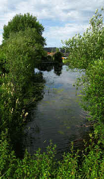 Gaudenzio Weiher