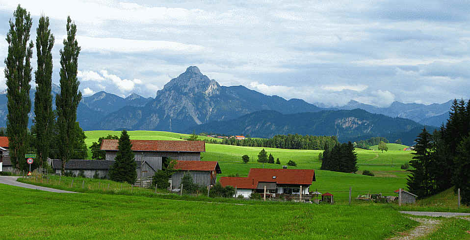 Gaudenzio Weiher