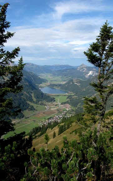 Gehren Alm - Reuttener Bergbahn