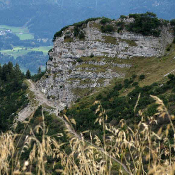 Gehren Alm - Reuttener Bergbahn