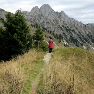 Gehren Alm - Reuttener Bergbahn