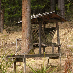 Wanderung im Vilstal