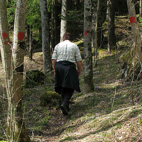 Wanderung im Vilstal