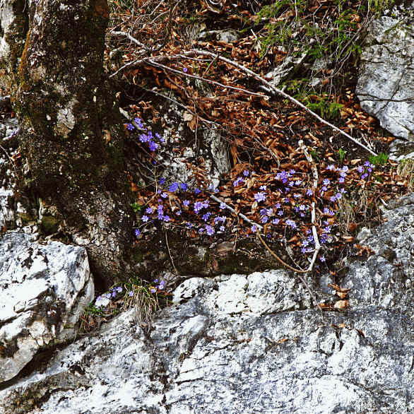 Wanderung im Vilstal