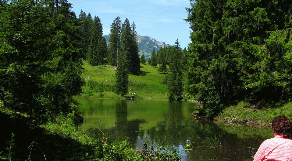 Hoefersee