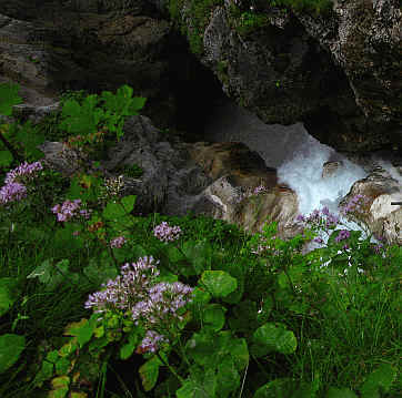 zur Hölltalangerhütte