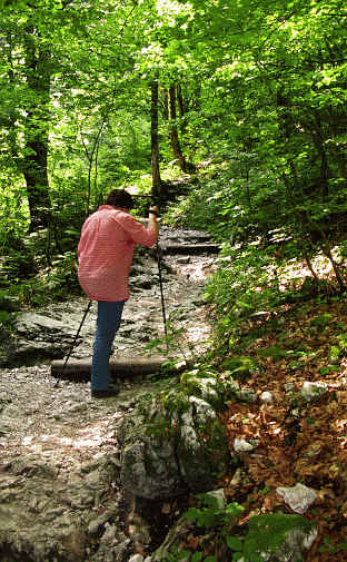 Hölltalklamm