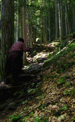 Seebensee - Hoher Gang