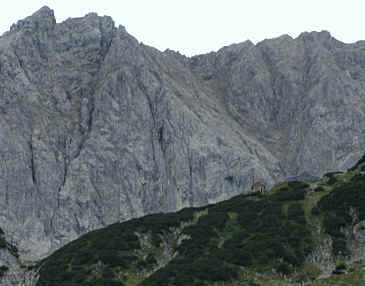 Seebensee - Hoher Gang