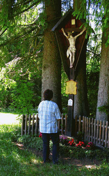 Riedener Wald - Hopfer Burg