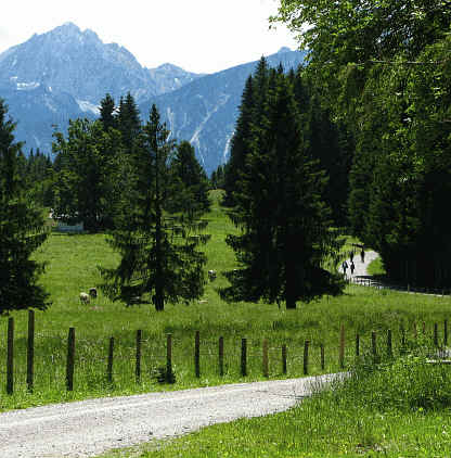 Riedener Wald - Hopfer Burg