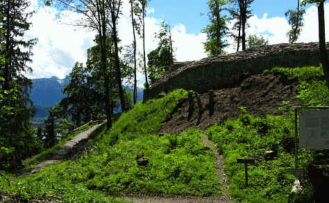 Riedener Wald - Hopfer Burg