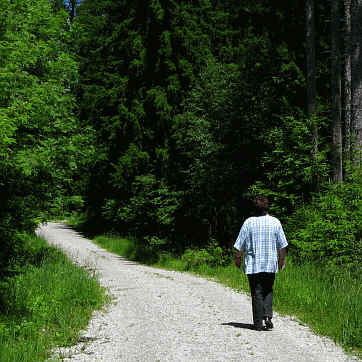 Riedener Wald - Hopfer Burg