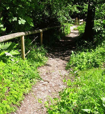 Riedener Wald - Hopfer Burg