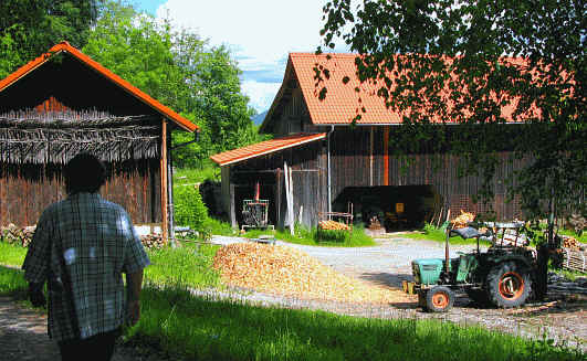 Riedener Wald - Hopfer Burg