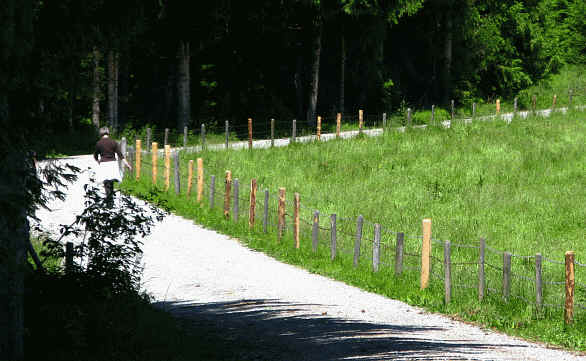 Riedener Wald - Hopfer Burg