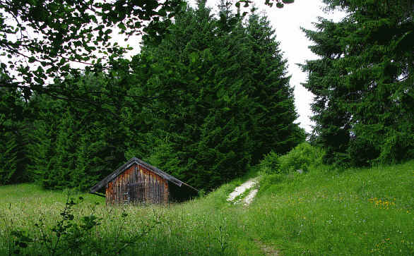 Milchhaeusle Pfronten