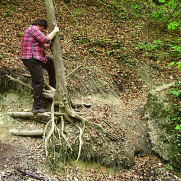 Paehler Schlucht