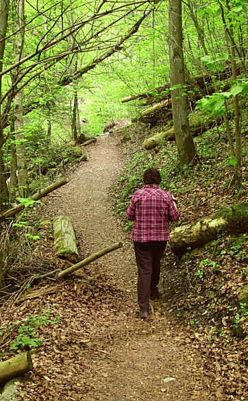 Paehler Schlucht