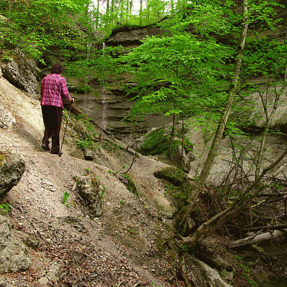 Paehler Schlucht