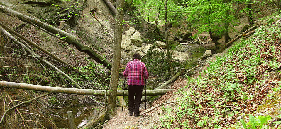 Paehler Schlucht