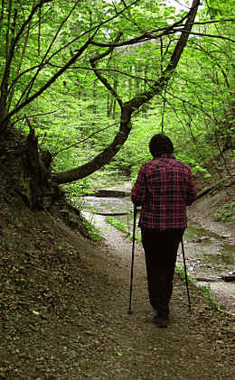 Paehler Schlucht