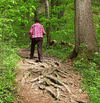 Paehler Schlucht