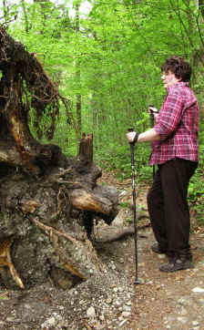 Paehler Schlucht