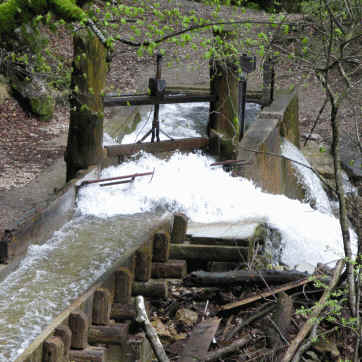 Pöllatschlucht Neuschwanstein