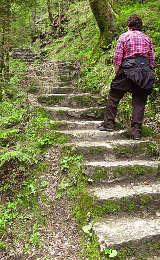 Pöllatschlucht Neuschwanstein