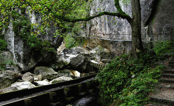 Pöllatschlucht Neuschwanstein