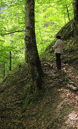 Reichenbachklamm Pfronten