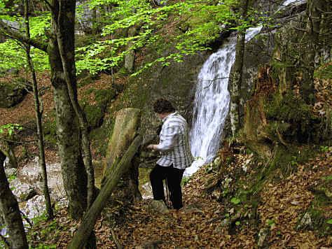 Reichenbachklamm Pfronten