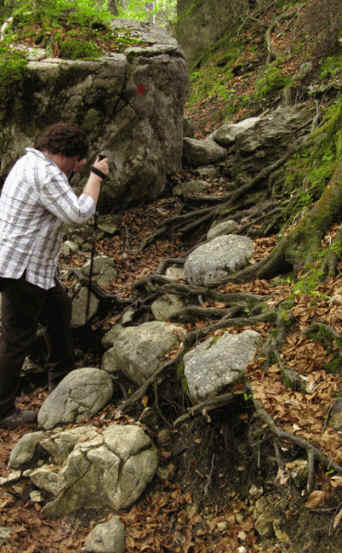 Reichenbachklamm Pfronten