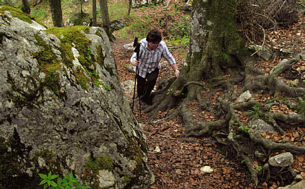 Reichenbachklamm Pfronten