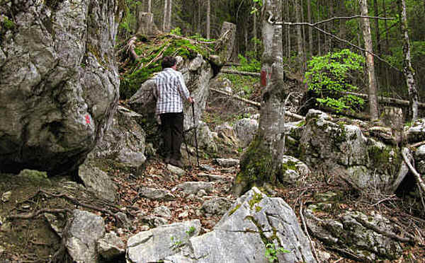 Reichenbachklamm Pfronten