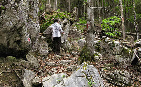 Reichenbachklamm Pfronten