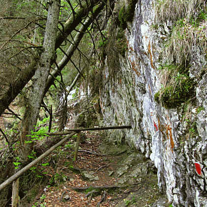 Reichenbachklamm Pfronten