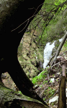 Reichenbachklamm Pfronten