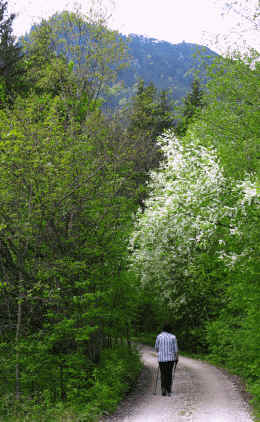 Reichenbachklamm Pfronten