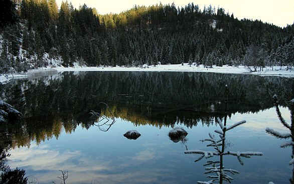 Riedener See im Lechtal