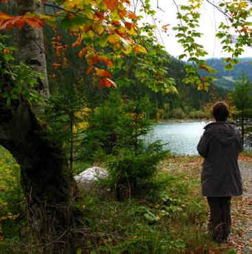 Rotlech Stausee Rundweg