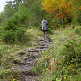 Rotlech Stausee Rundweg