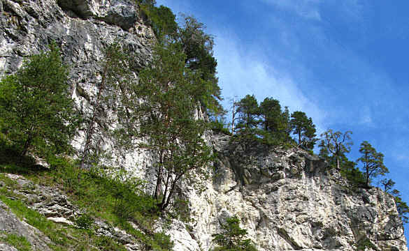 Rosengartenschlucht - Imst