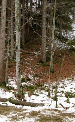 Sababach Wasserfall