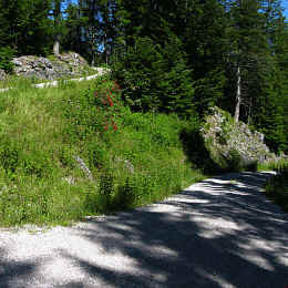 Burgenwelt Ehrenberg