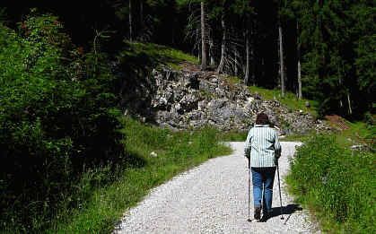 Burgenwelt Ehrenberg