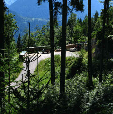 Burgenwelt Ehrenberg